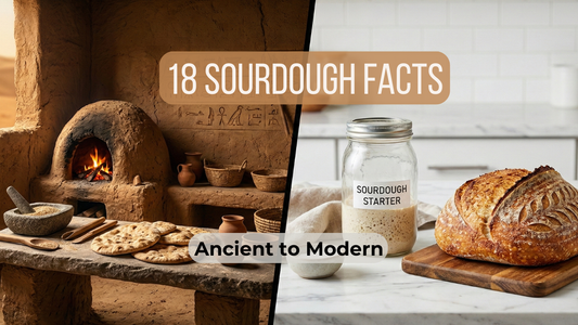 18 Fascinating Facts About Sourdough Bread (History, Science & Surprising Truths)