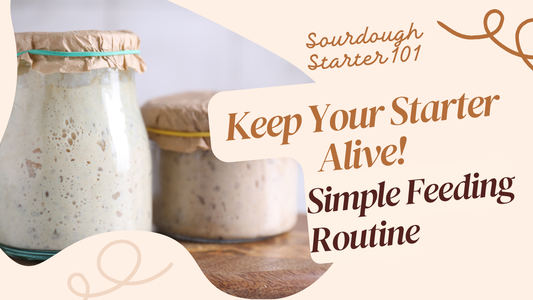 How to Feed Your Sourdough Starter