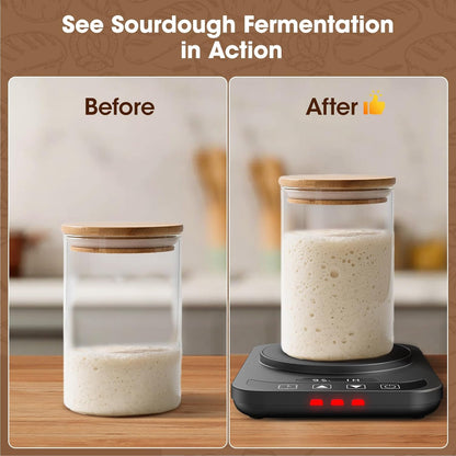 Elevate Your Baking with the MQUPIN Sourdough Starter Warmer - Precision Temperature Control, 12-Hour Timer & Durable Design in Sleek Black
